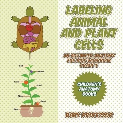 Labeling Animal and Plant Cells - An Advanced Anatomy for Kids Workbook Grade 6 Children's Anatomy Books by Baby Professor
