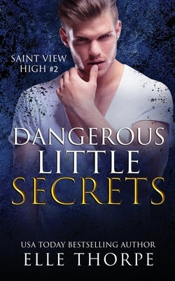 Dangerous Little Secrets: A Reverse Harem Bully Romance by Thorpe, Elle