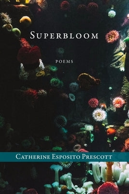 Superbloom by Prescott, Catherine Esposito