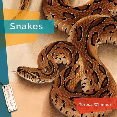 Snakes by Wimmer, Teresa