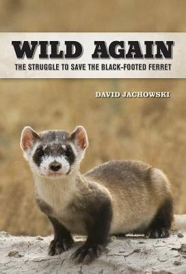 Wild Again: The Struggle to Save the Black-Footed Ferret by Jachowski, David S.