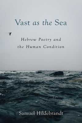 Vast as the Sea: Hebrew Poetry and the Human Condition by Hildebrandt, Samuel