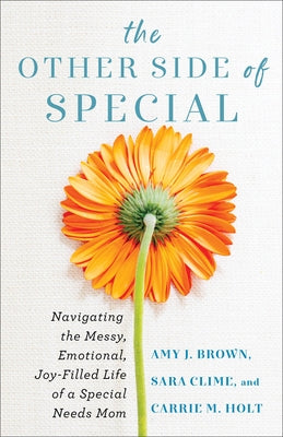 The Other Side of Special: Navigating the Messy, Emotional, Joy-Filled Life of a Special Needs Mom by Brown, Amy J.