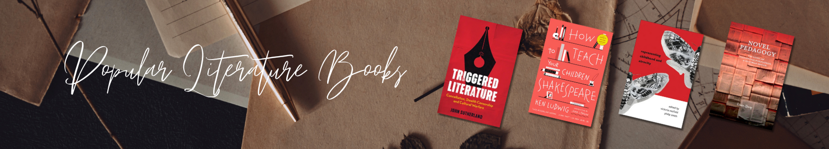 Literature education books for middle school, high school, and college students