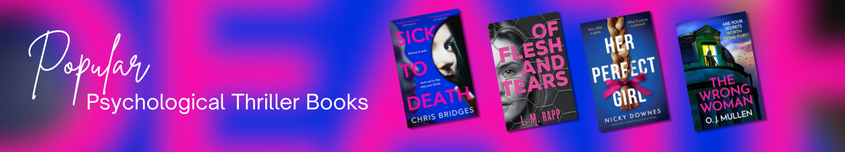 Psychological thriller fiction perfect for fans of Gone Girl and The Silent Patient