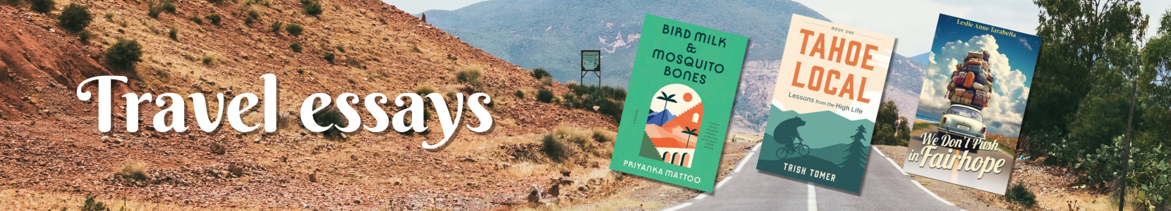 Thoughtful travel essay collections exploring culture, place, and personal reflection
