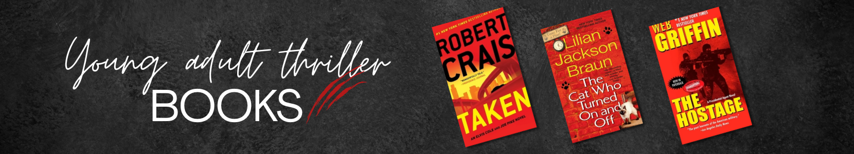 YA thriller novels with suspense and mystery